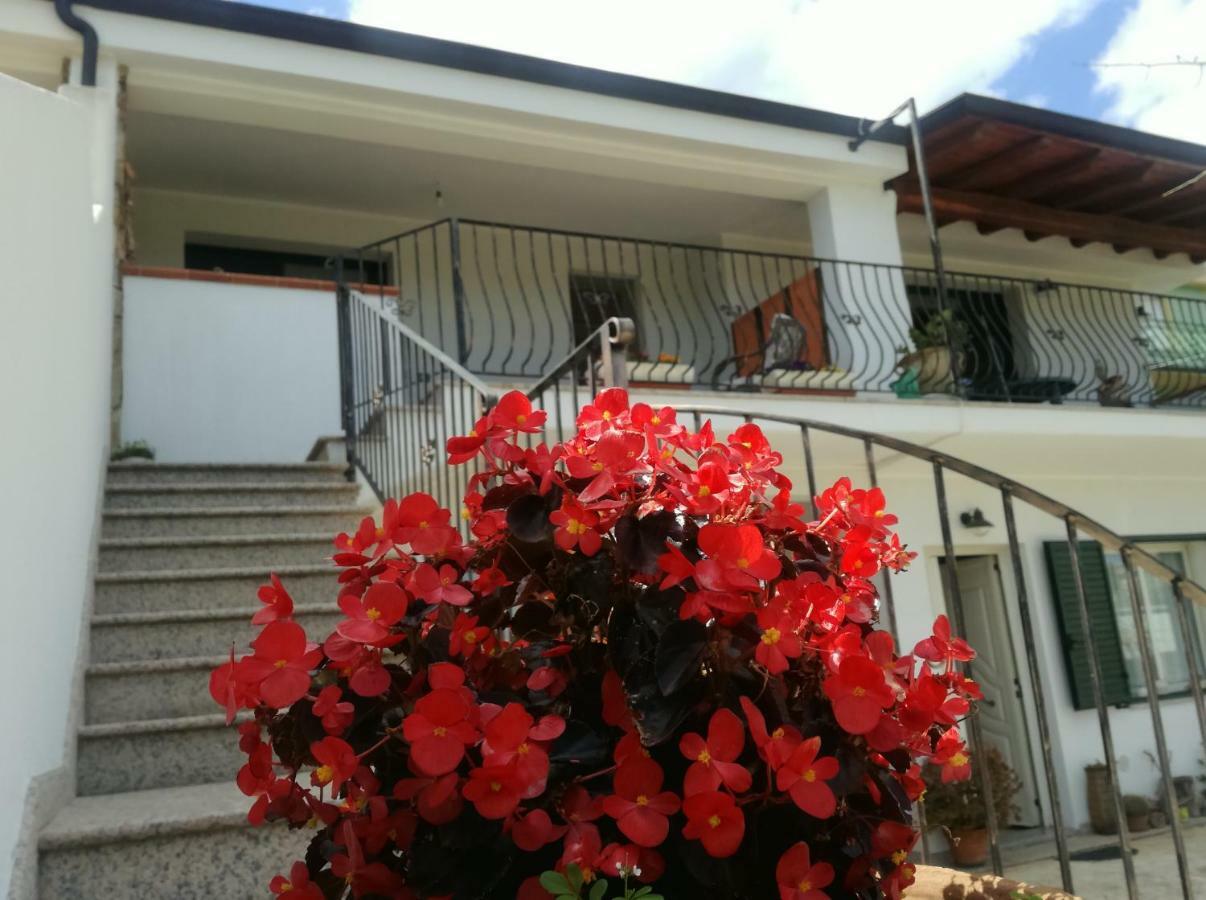 Ferienwohnung Il Giardino Lotzorai Exterior foto